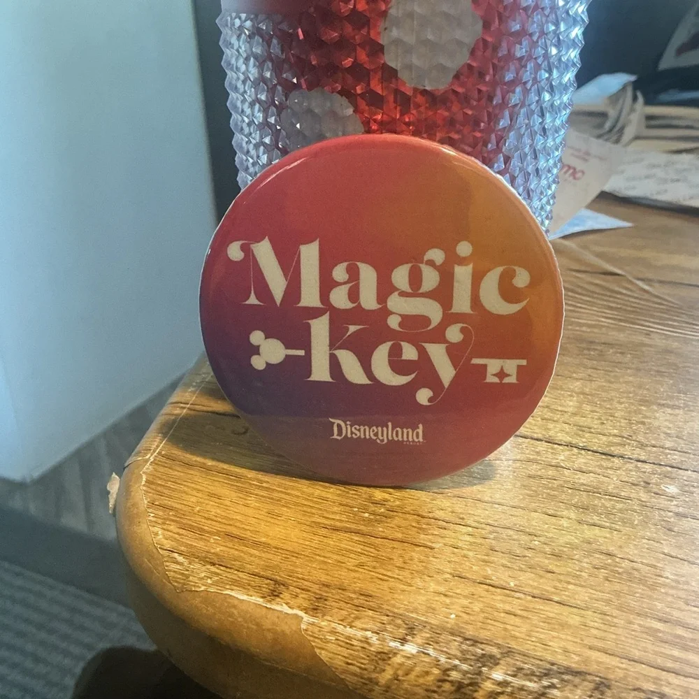 NEW VINTAGE (2025) STARBUCKS DISNEYLAND MINNIE MOUSE CLASSIC POLKA DOT TUMBLER - Picture 13 of 16